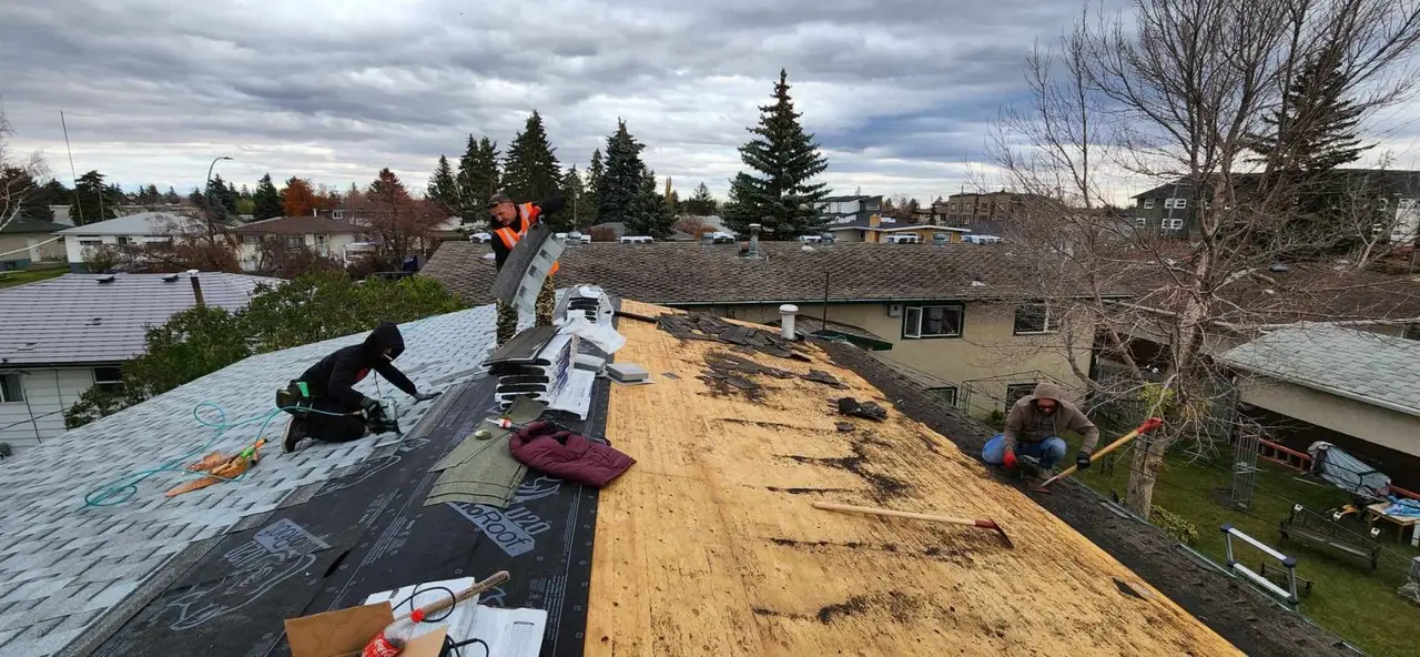 EZ Roof Repair crew installing IKO Dynasty asphalt shingles on a Calgary home