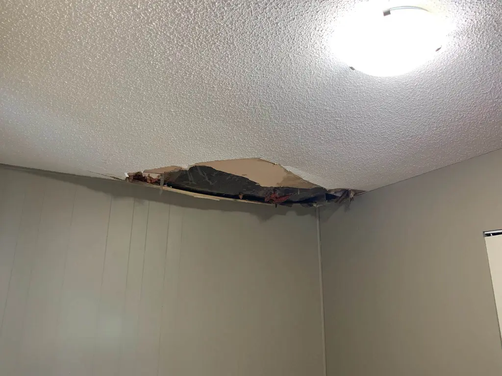 Drywall ceiling removed in a Calgary home, showing water piling on the poly vapour barrier and saturated insulation about to fall through