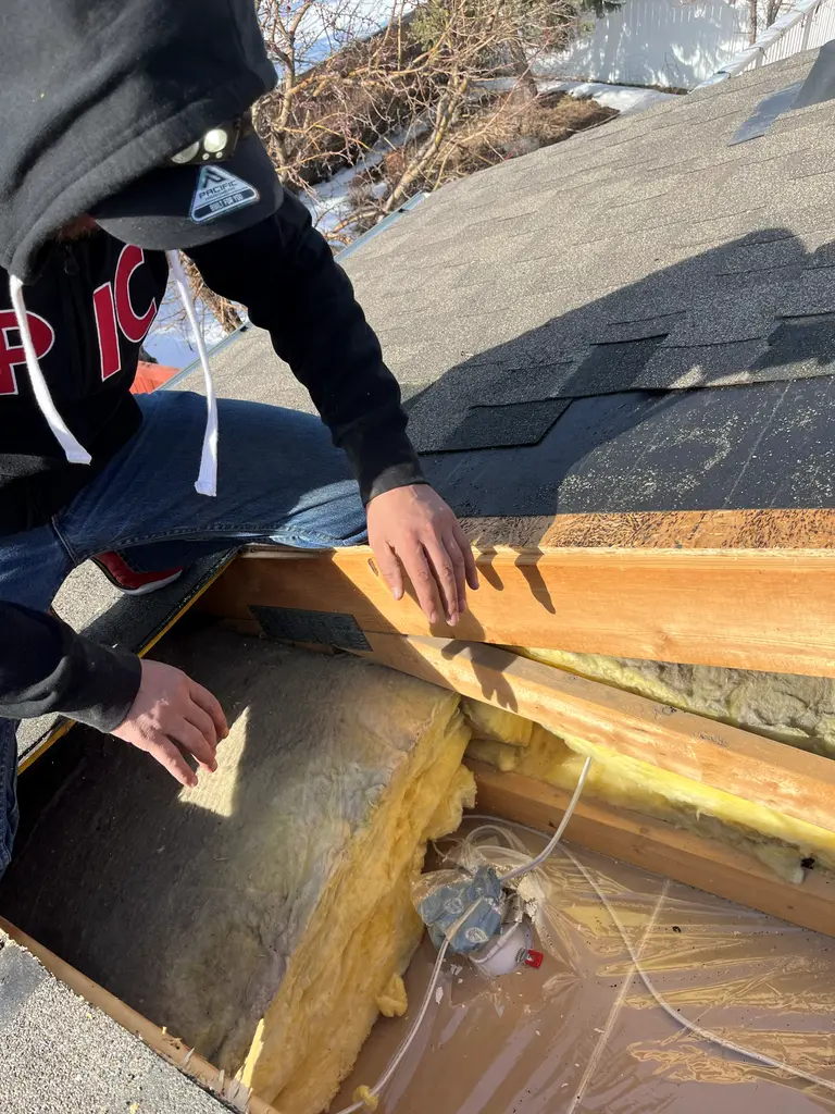 Section of shingles and roof deck removed on a Calgary roof, exposing the rafters, batt insulation, the poly vapour barrier and a ceiling electrical box below