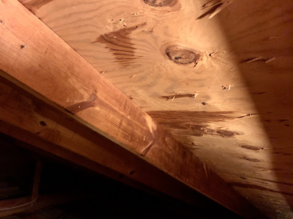 Moisture & Leak Detection