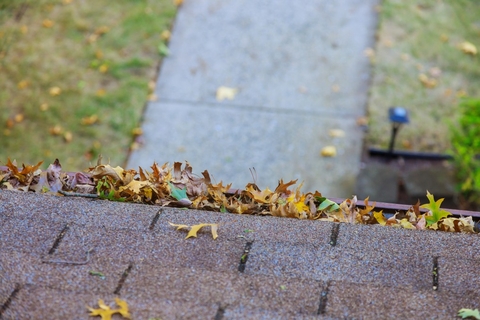 Clogged Pipes & Gutters